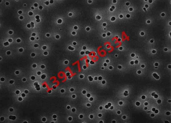 TETP01300 Millipore亿百体育酸酯8um亲水13mm白色光面生物分析表面滤膜