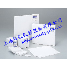 GB-100R TOYO Advantec玻璃纤维滤纸